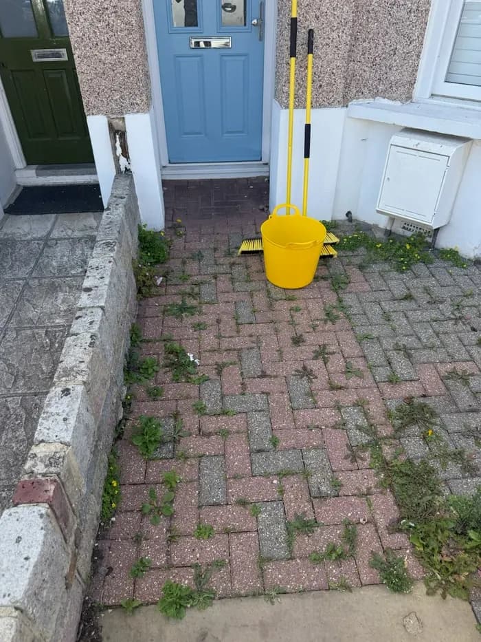 Front doorstep block paving overgrown with weeds before cleaning, mop and bucket set out for the job