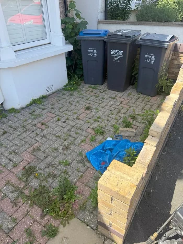 Side patio area by the bins overgrown with weeds and a tarp before cleaning